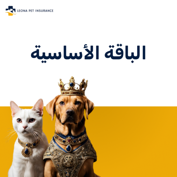 الباقة الأساسية